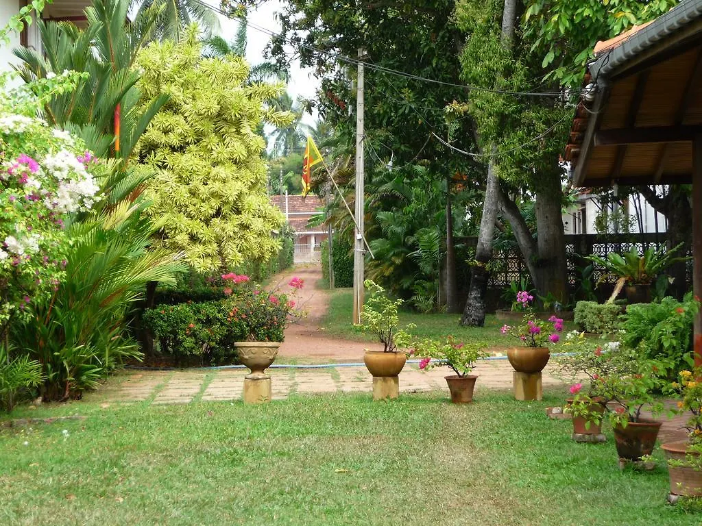 ** Maison d'hôtes Cinnamon Bungalow Negombo Sri Lanka